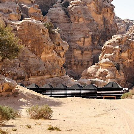 Ammarin Bedouin Camp Hotel Wadi Musa Bagian luar foto