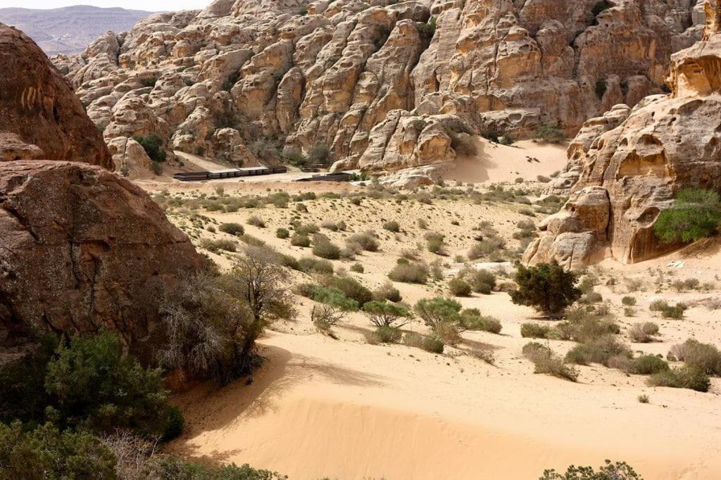 Ammarin Bedouin Camp Hotel Wadi Musa Bagian luar foto