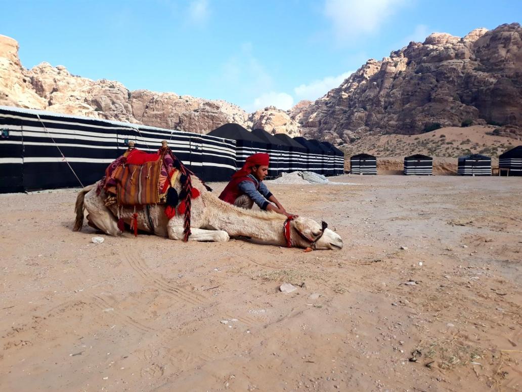 Ammarin Bedouin Camp Hotel Wadi Musa Bagian luar foto